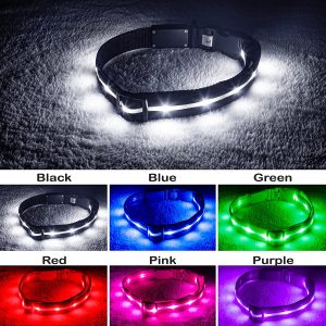 Blazin Bison light up dog collar