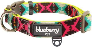 Blueberry pet neoprene dog collar