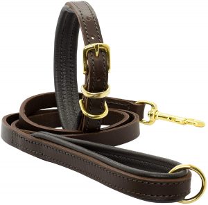 Dogs and Horses Big Dog Collar