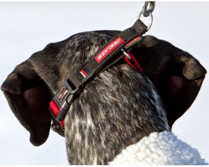 Ezydog Checkmate Half Check Dog Collar