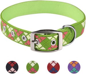 Paw sport new argyle waterproof dog collar