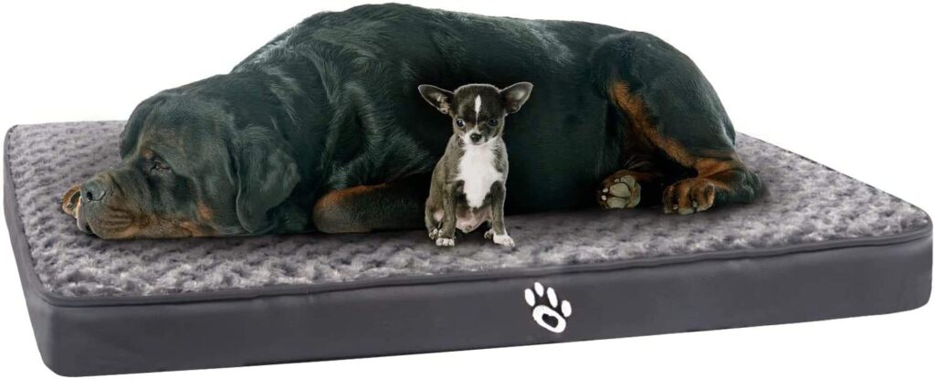 GoFirst Dog Bed