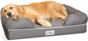 PetFusion Memory Foam Dog Bed