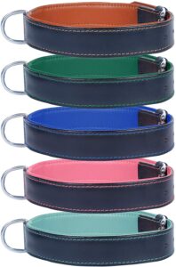 Ace Dog Collars Comfy Leather Dog Collar