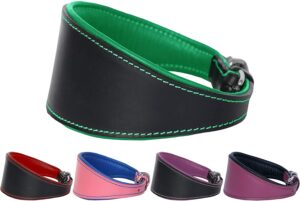 Ace Dog Collars Traditional Leather Dog Collar