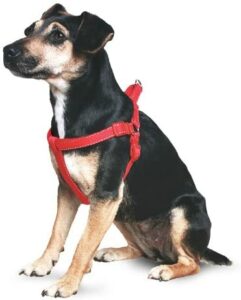 Ancol Padded Nylon Dog Harness