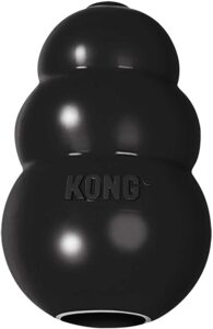 KONG Extreme Dog Toy