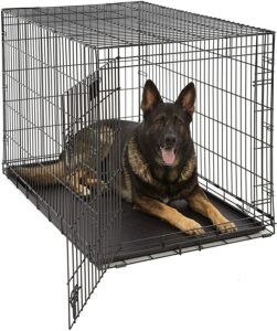  MidWest Life Stages Single-Door Folding Metal Dog Crate