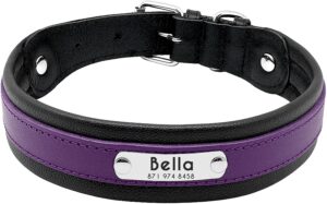 Pet Artist Studded Leather Dog Collar with Name Plate