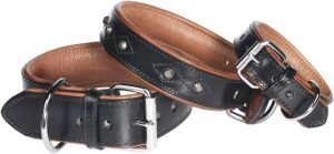 Pet First Leather Rivet Collar