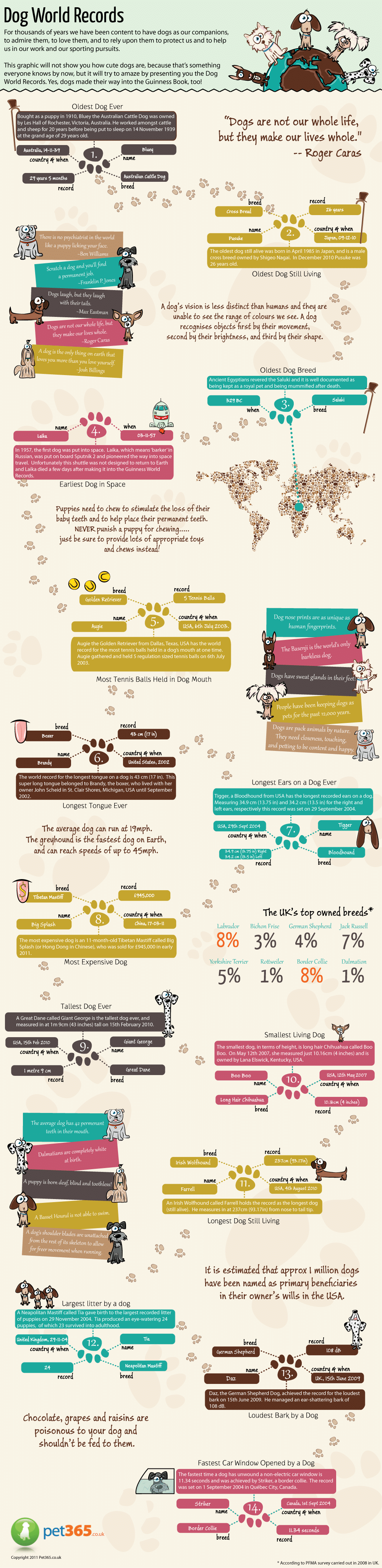 Dog World Records Infographic