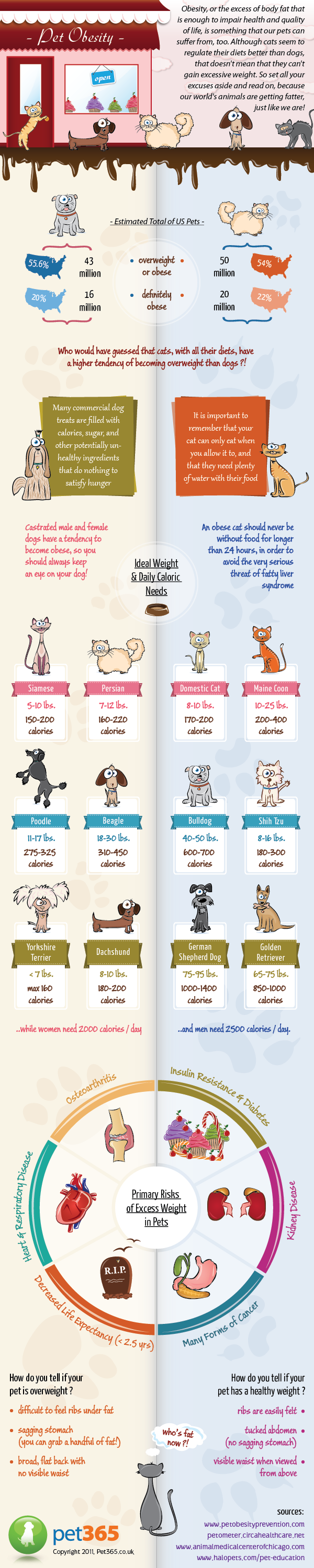 Pet Obesity Infographic