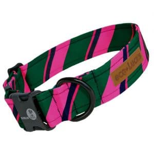 Dublin Dog Eco Lucks Socialite Dog Collar