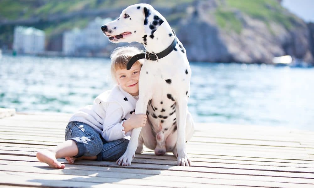 Top Holiday Essentials for You and Your Dog