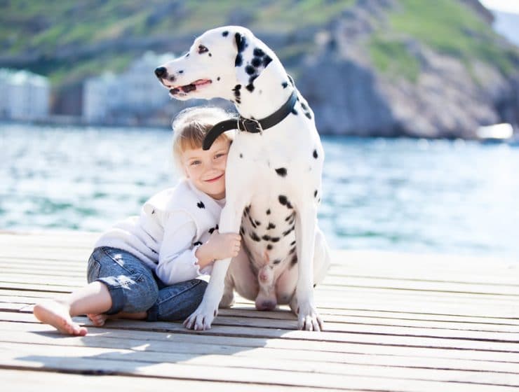 Top Holiday Essentials for You and Your Dog