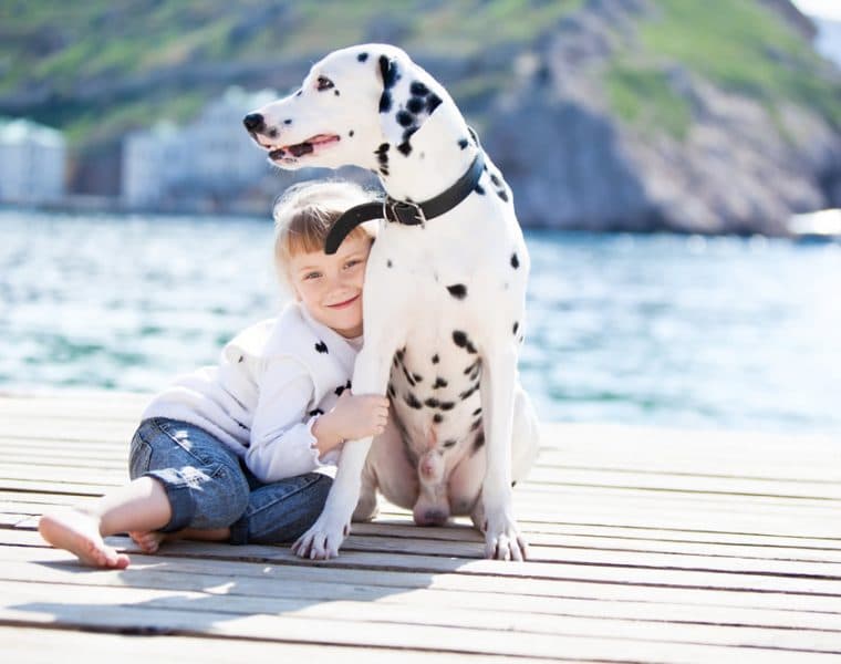 Top Holiday Essentials for You and Your Dog