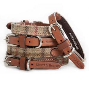 Mutts and Hounds Balmoral Collar