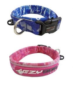 EzyDog Beo Dog Collar