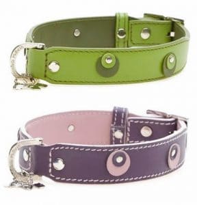 Hamish McBeth Designer Dog Collar - Moet