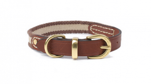 Waifs and Strays Leather and Webbing Dog Collar