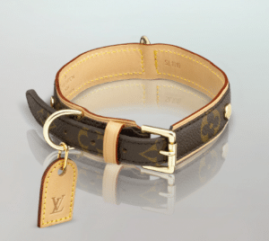 Louis Vuitton Baxter Dog Collar