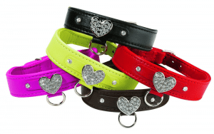 Bobby Hearts Collar