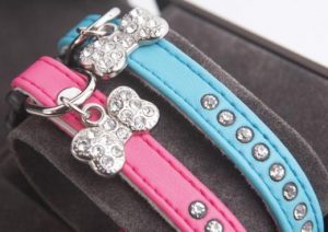 Ancol Small Bite Puppy Collar