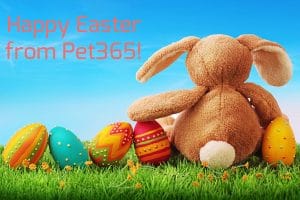 Happy Easter from Pet 365