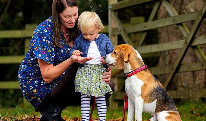 Halti two-tone nylon dog collar