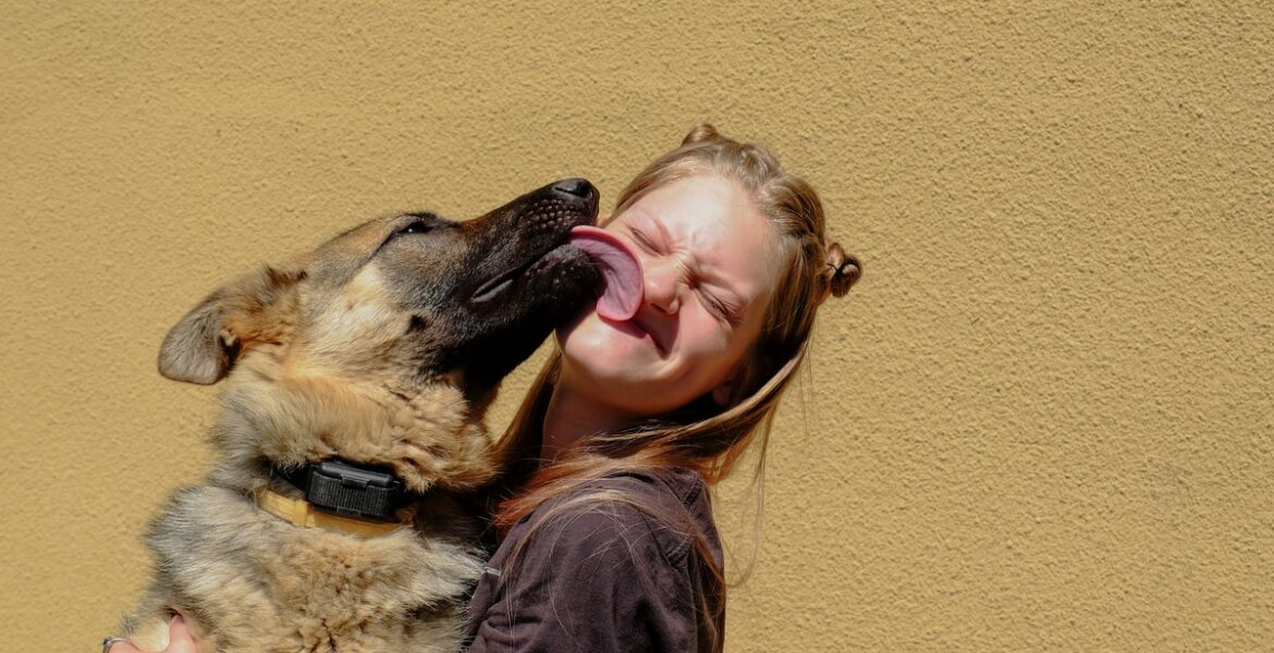 Why Do Dogs Lick You?