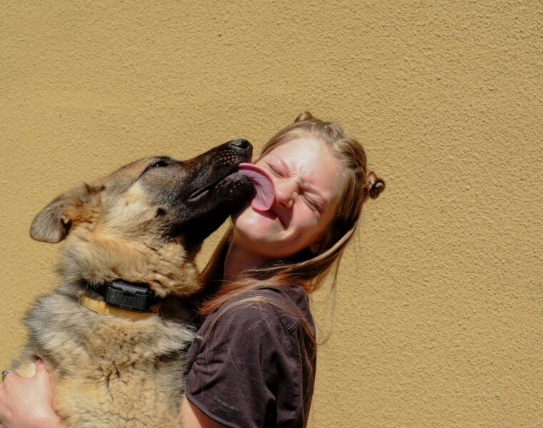 Why Do Dogs Lick You?