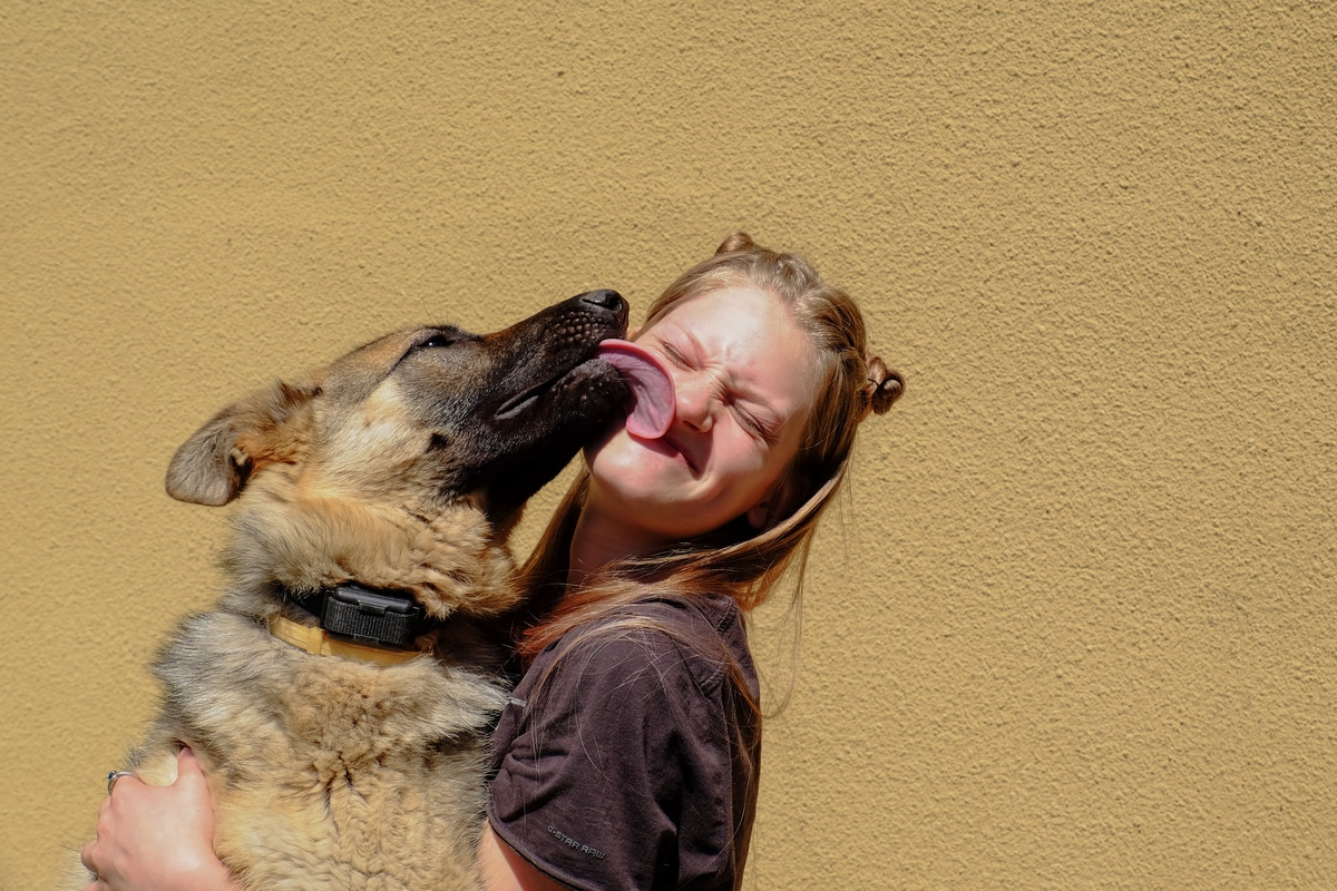 Dog licking best sale human