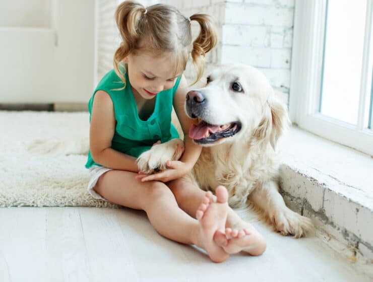 Are Golden Retrievers Good With Kids?