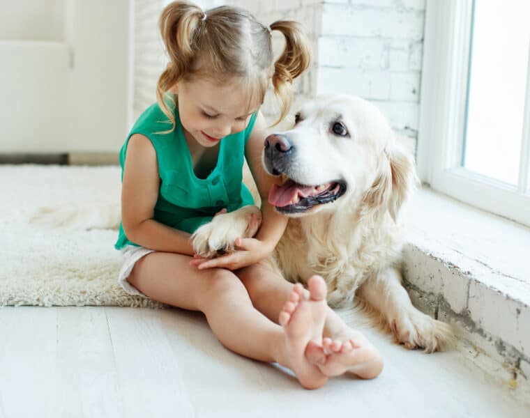 Are Golden Retrievers Good With Kids?