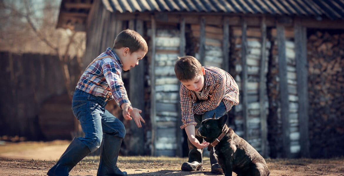 Are French Bulldogs Good With Kids?