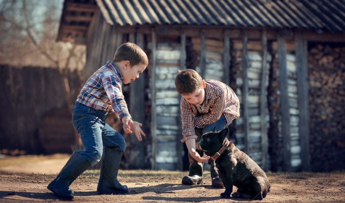 Are French Bulldogs Good With Kids?