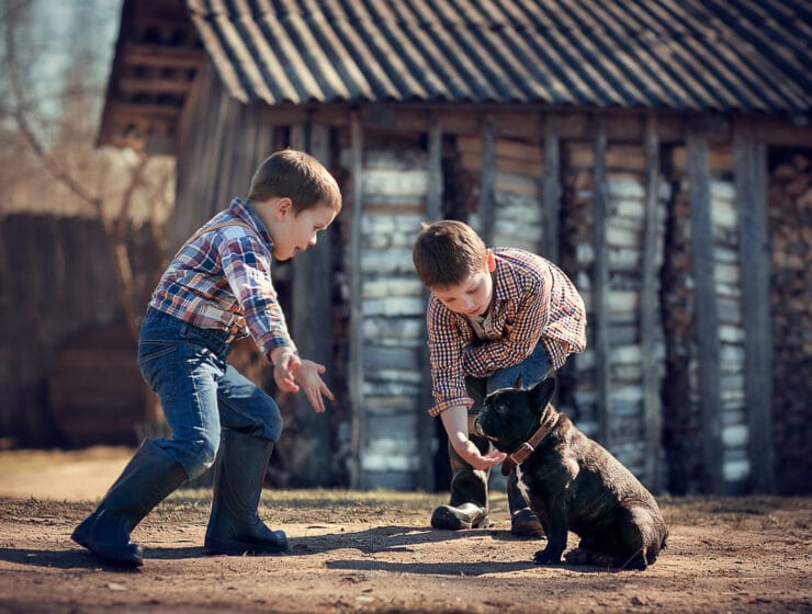 Are French Bulldogs Good With Kids?