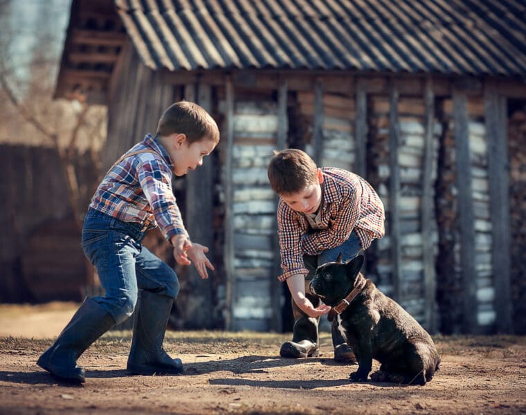 Are French Bulldogs Good With Kids?