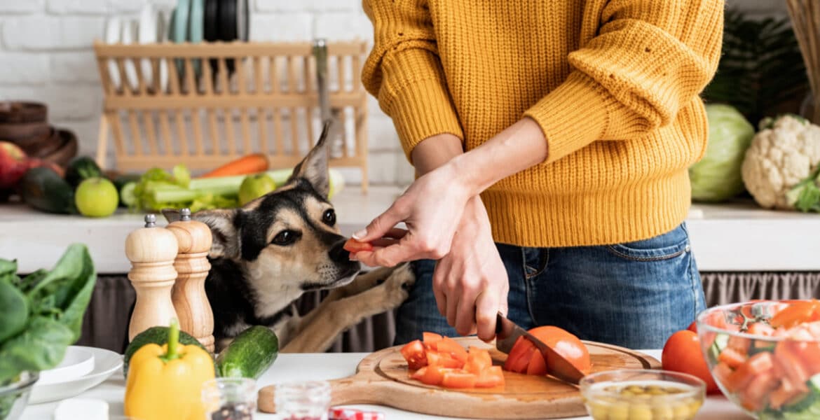 Can Dogs Eat Tomatoes?