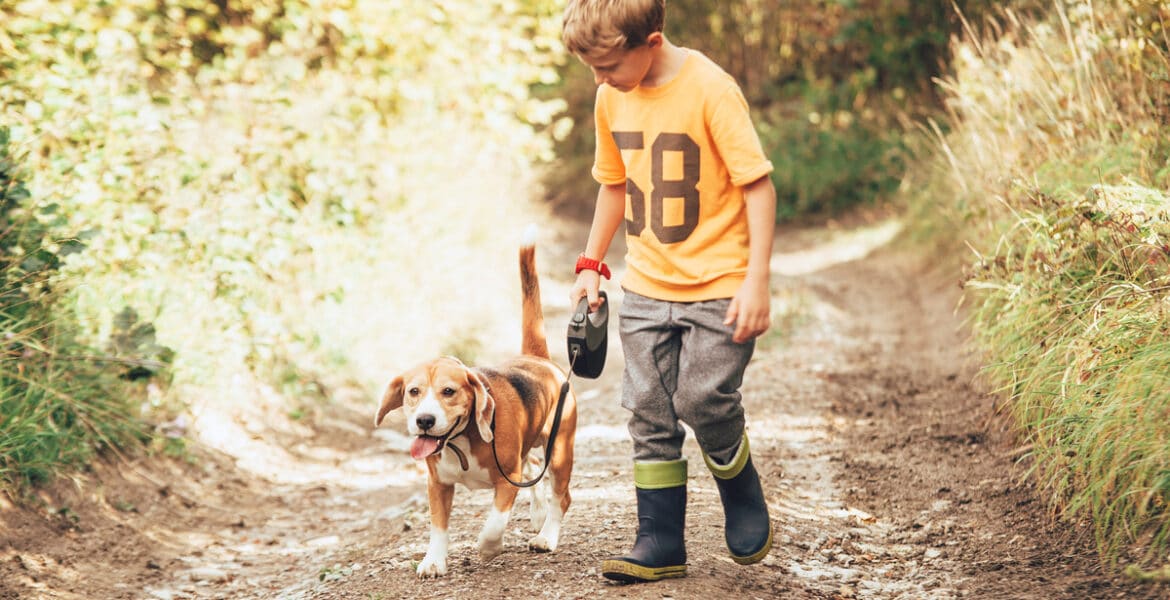 Are Beagles Good With Kids?