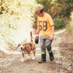 Are Beagles Good With Kids?