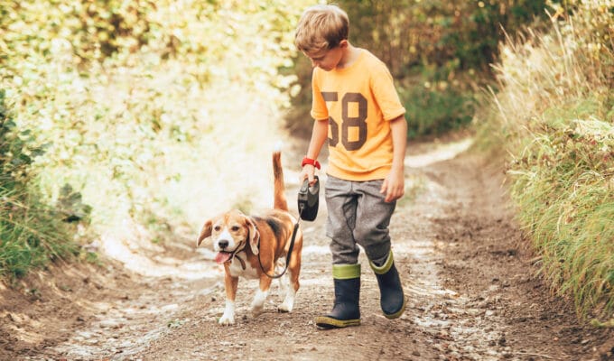 Are Beagles Good With Kids?