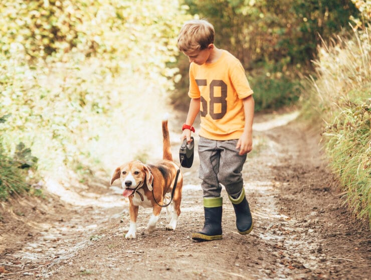 Are Beagles Good With Kids?