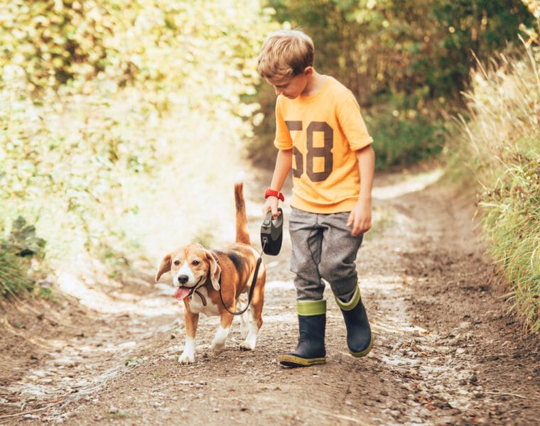 Are Beagles Good With Kids?